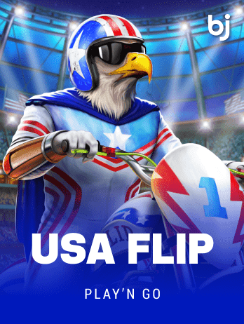 USA Flip game cover