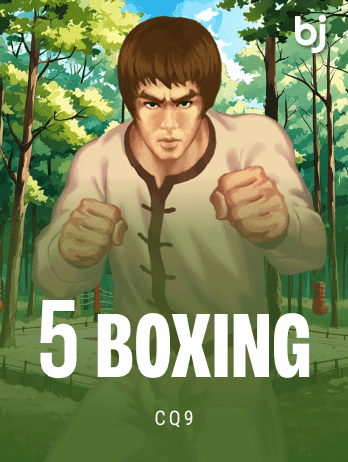 5 Boxing game cover